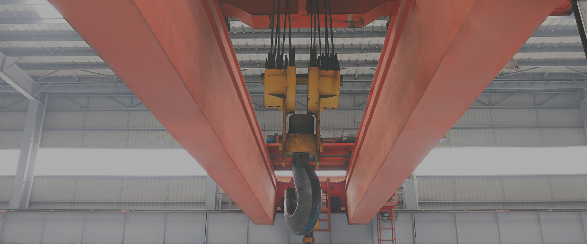 创新进取   合作共赢